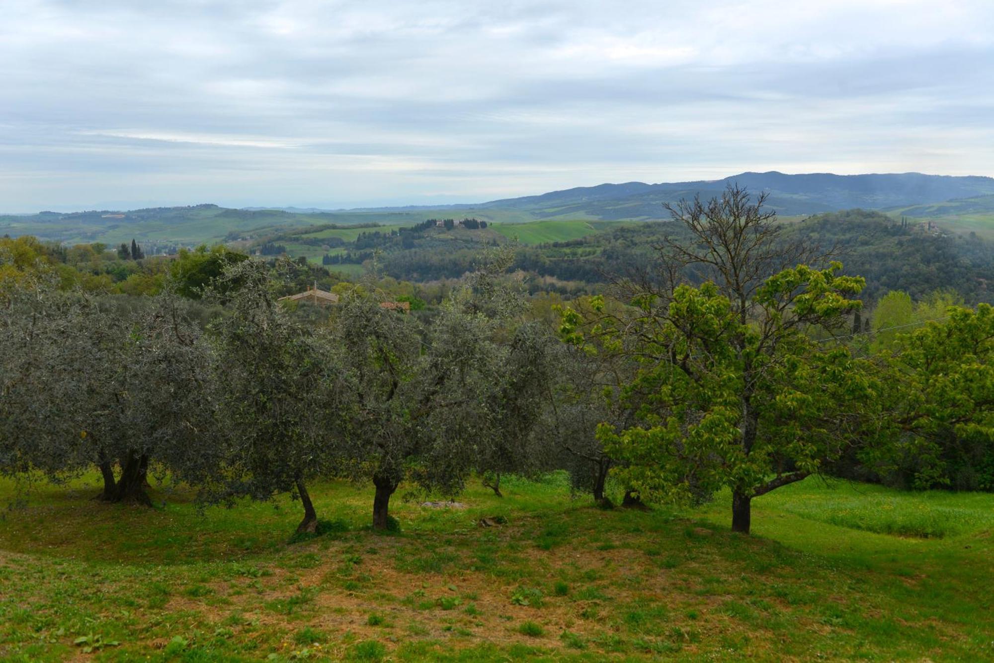 Casa Zeno Apartment Volterra Bagian luar foto