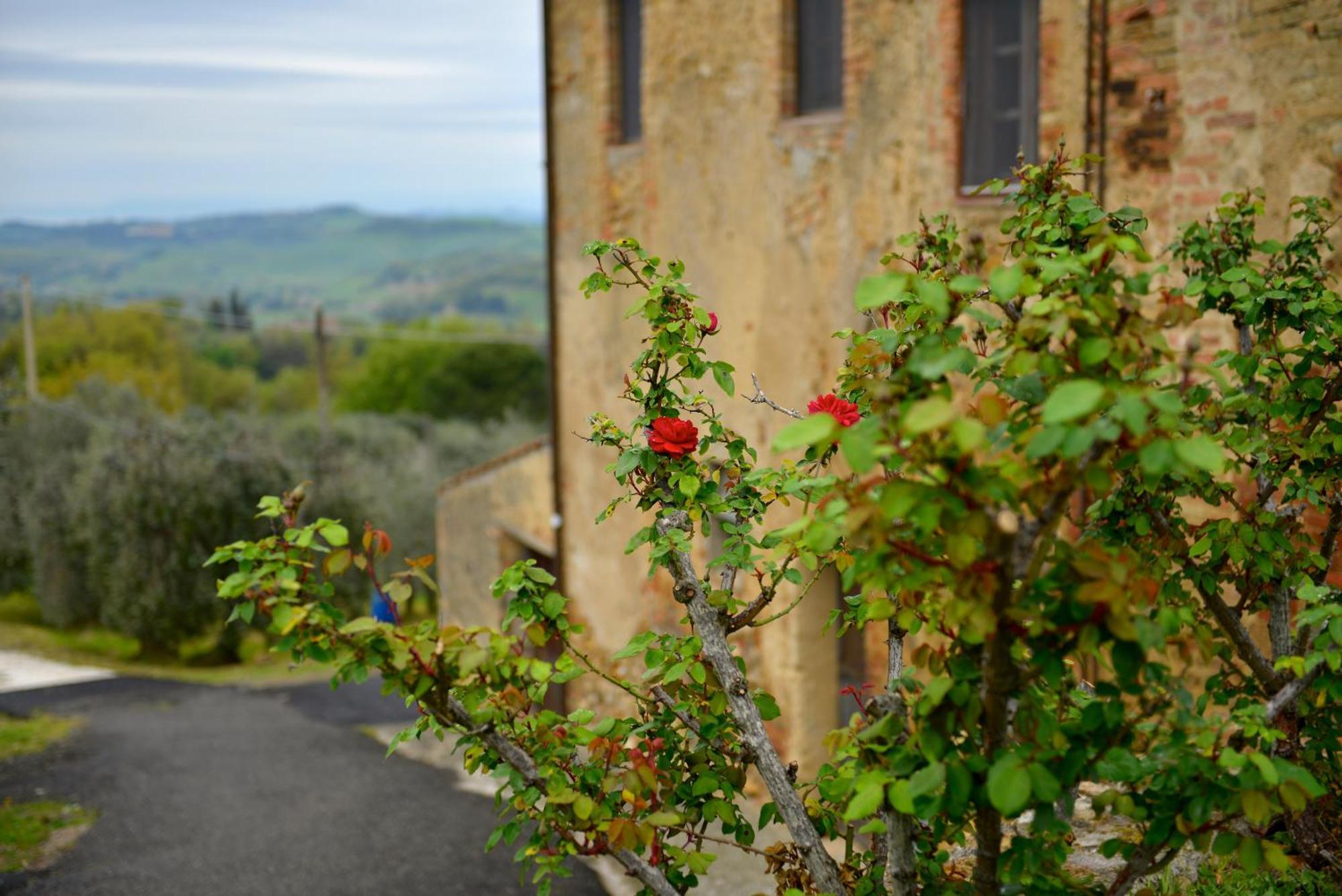 Casa Zeno Apartment Volterra Bagian luar foto